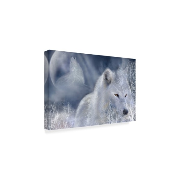 Carol Cavalaris 'White Wolf Painting' Canvas Art,16x24